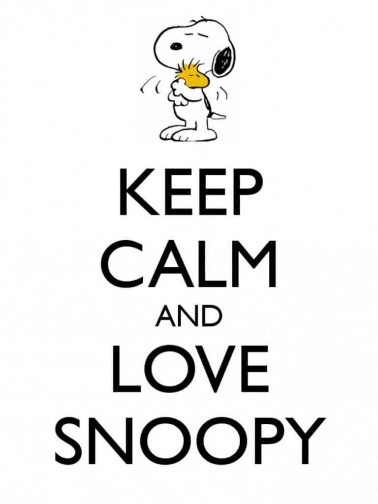 Keep Calm & Love Snoopy iPad mini wallpaper