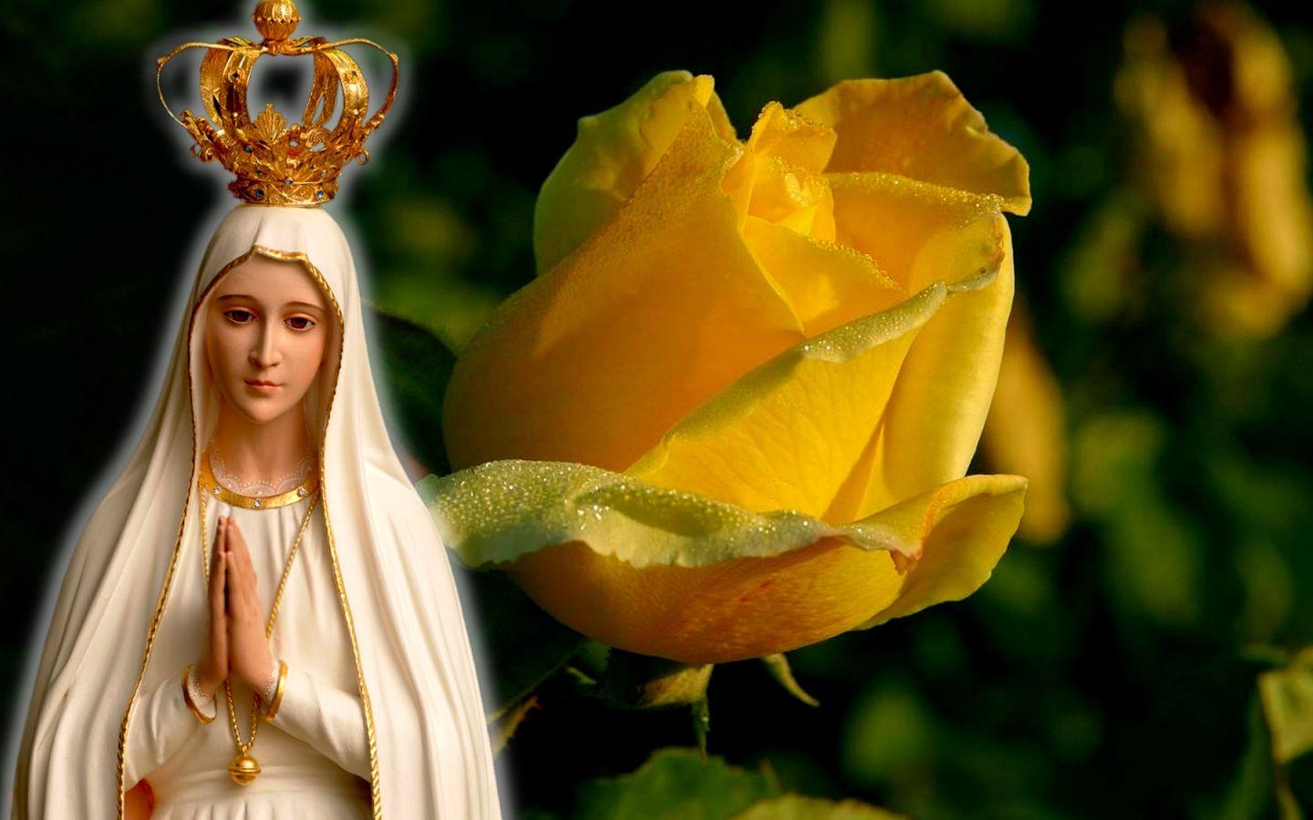 Our Lady Of Fatima Wallpapers Group