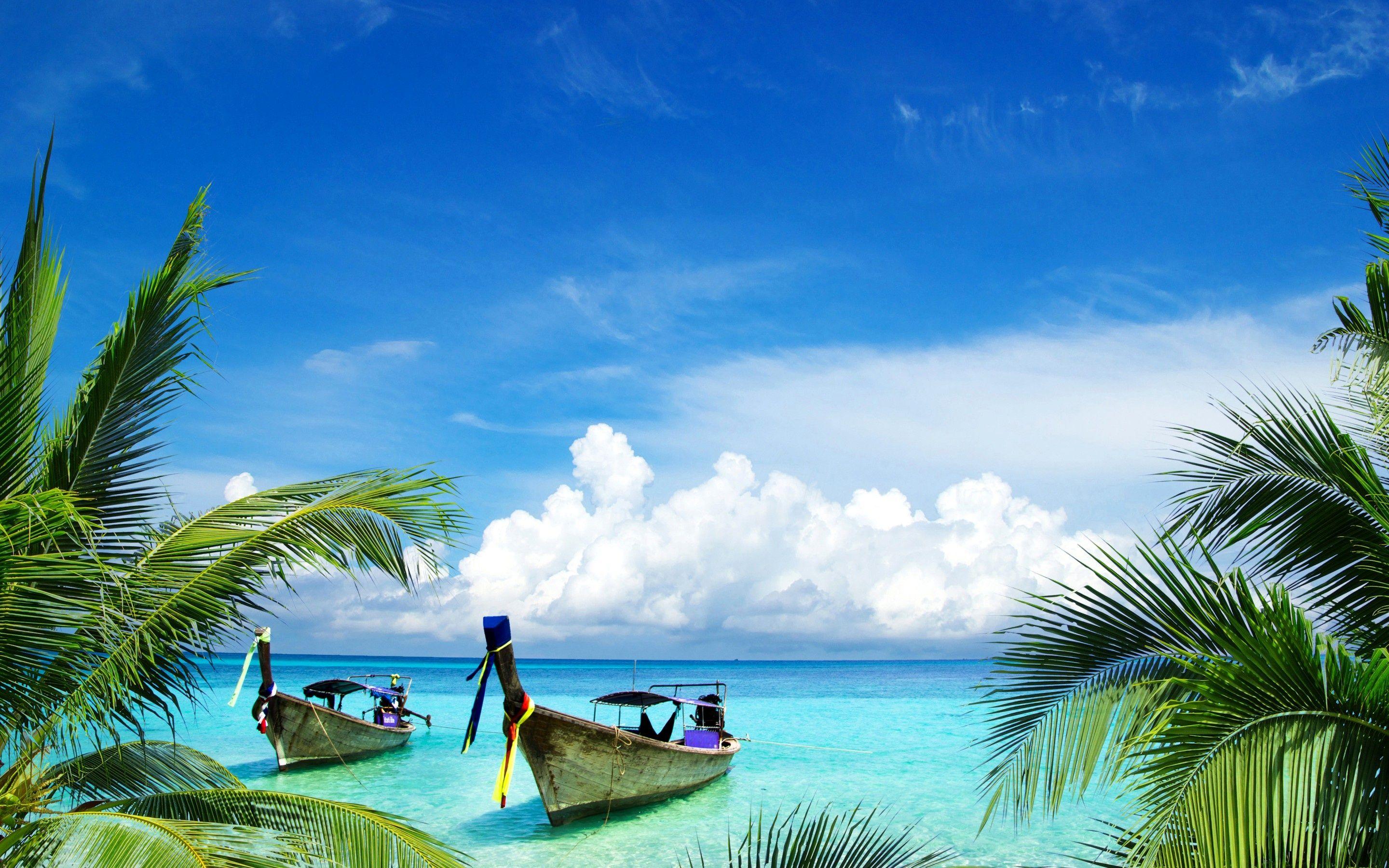 Tropics, sea, beach, boats, thailand, palm trees wallpaper