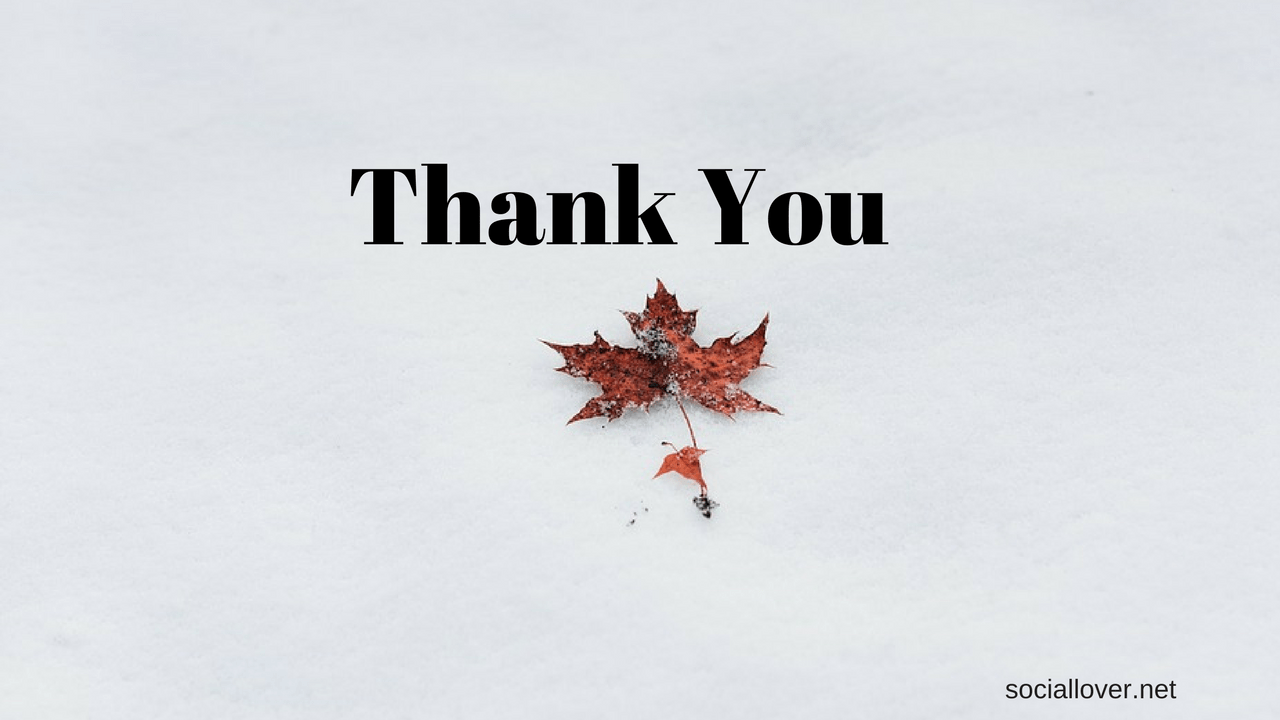 Download Thank You HD image for PPT, Whatsapp, Facebook