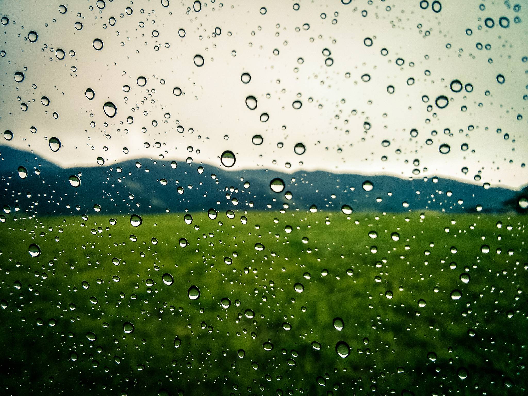 Raindrops on my Window [OC] (2048x1536)