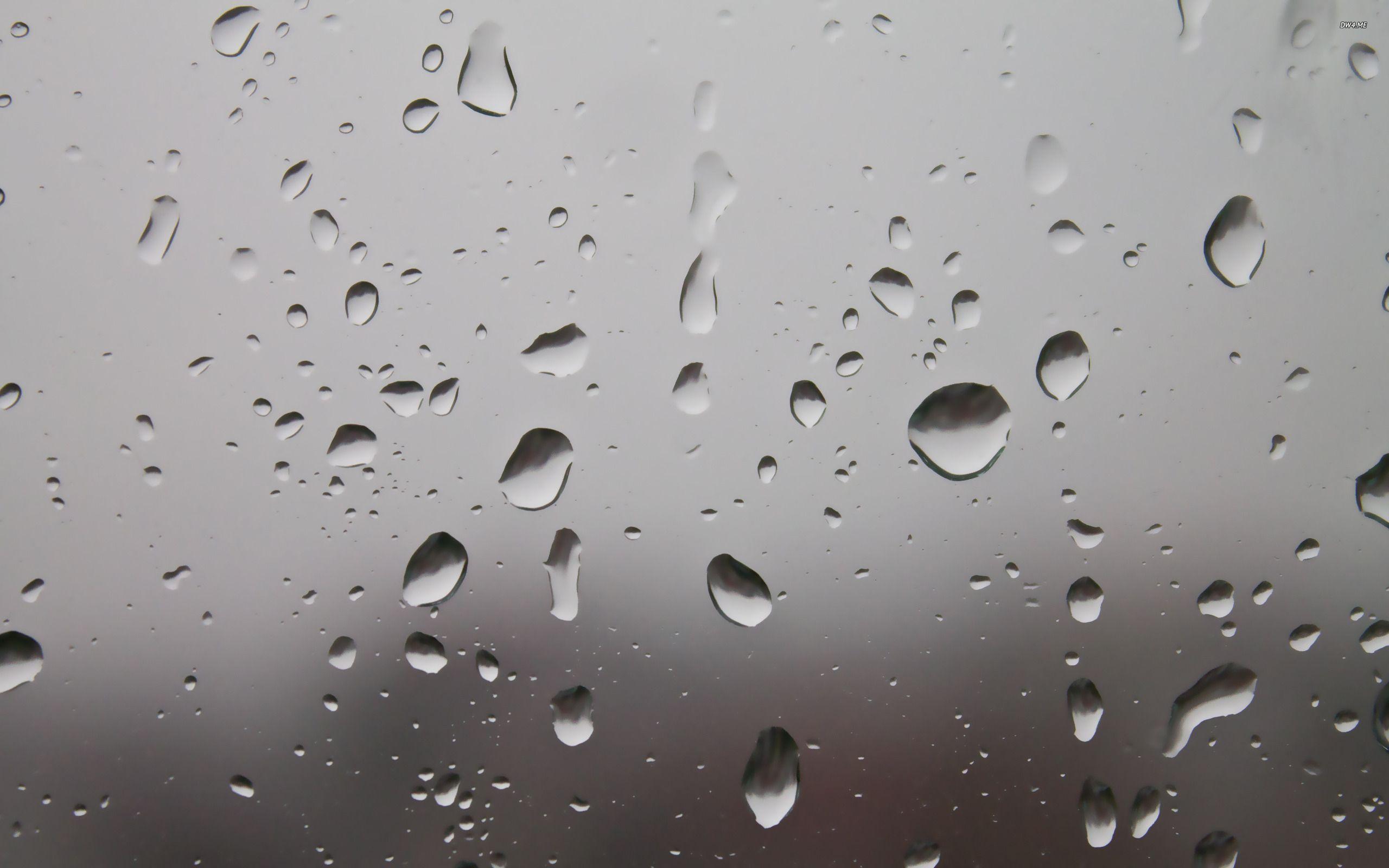 Raindrops on the window wallpaper wallpaper