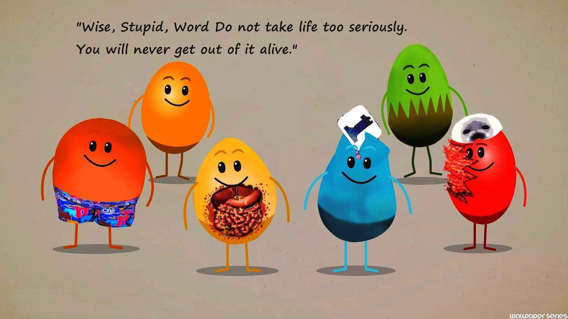 Wise Stupid Word Do Not Take Funny Quotes Wallpaper 05871