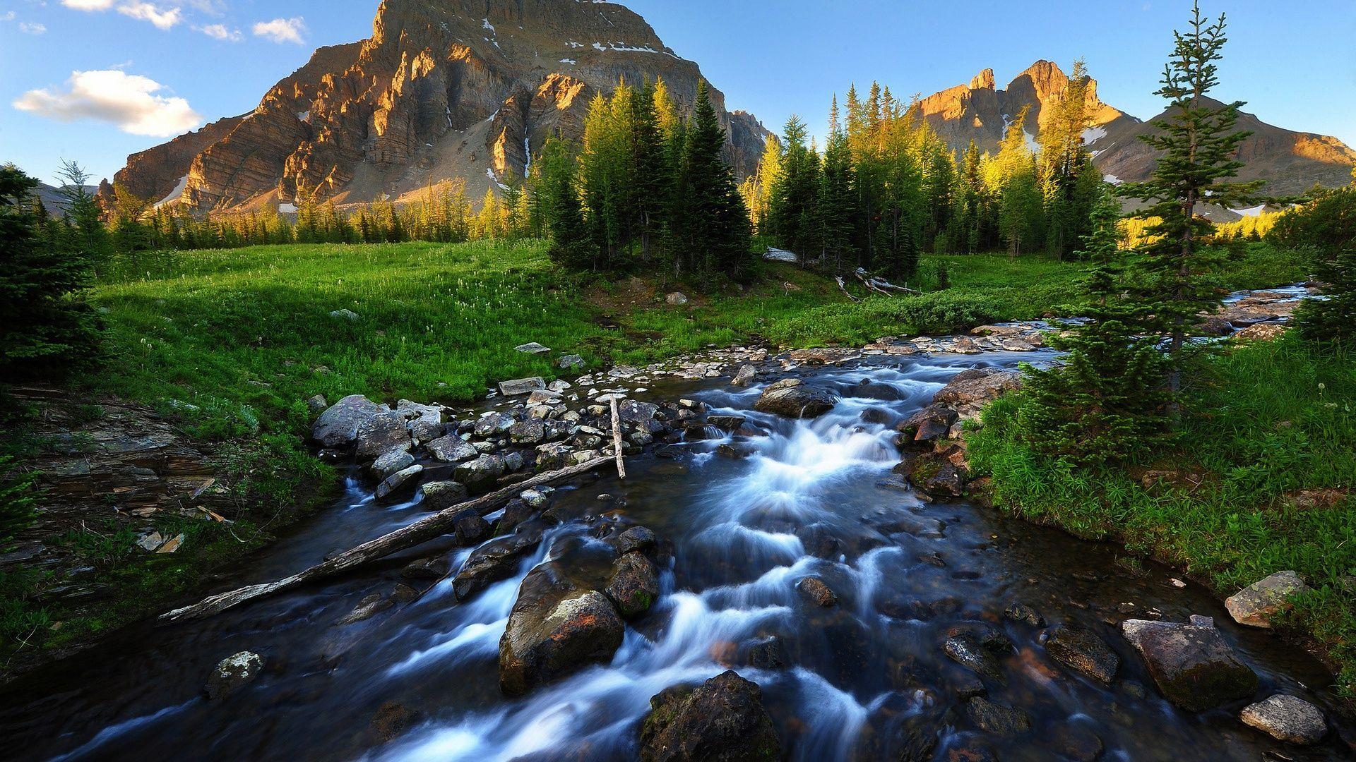beautiful landscape picture. Beautiful River Landscape
