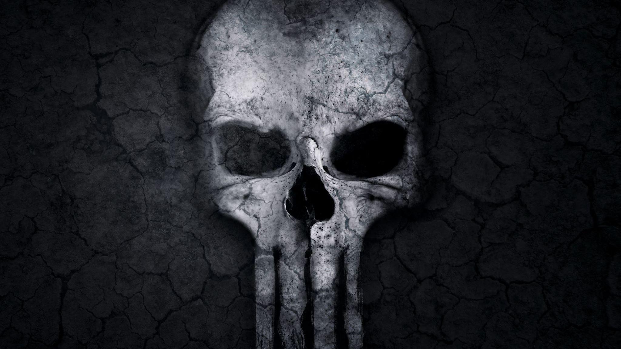 Punisher Skull Artwork 2048x1152 Resolution HD 4k