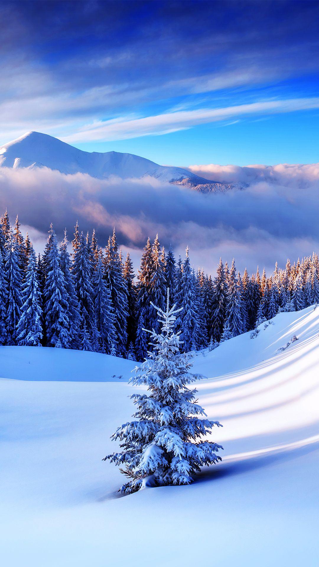 Winter Mountain Tree iPhone 6S Plus Wallpaper