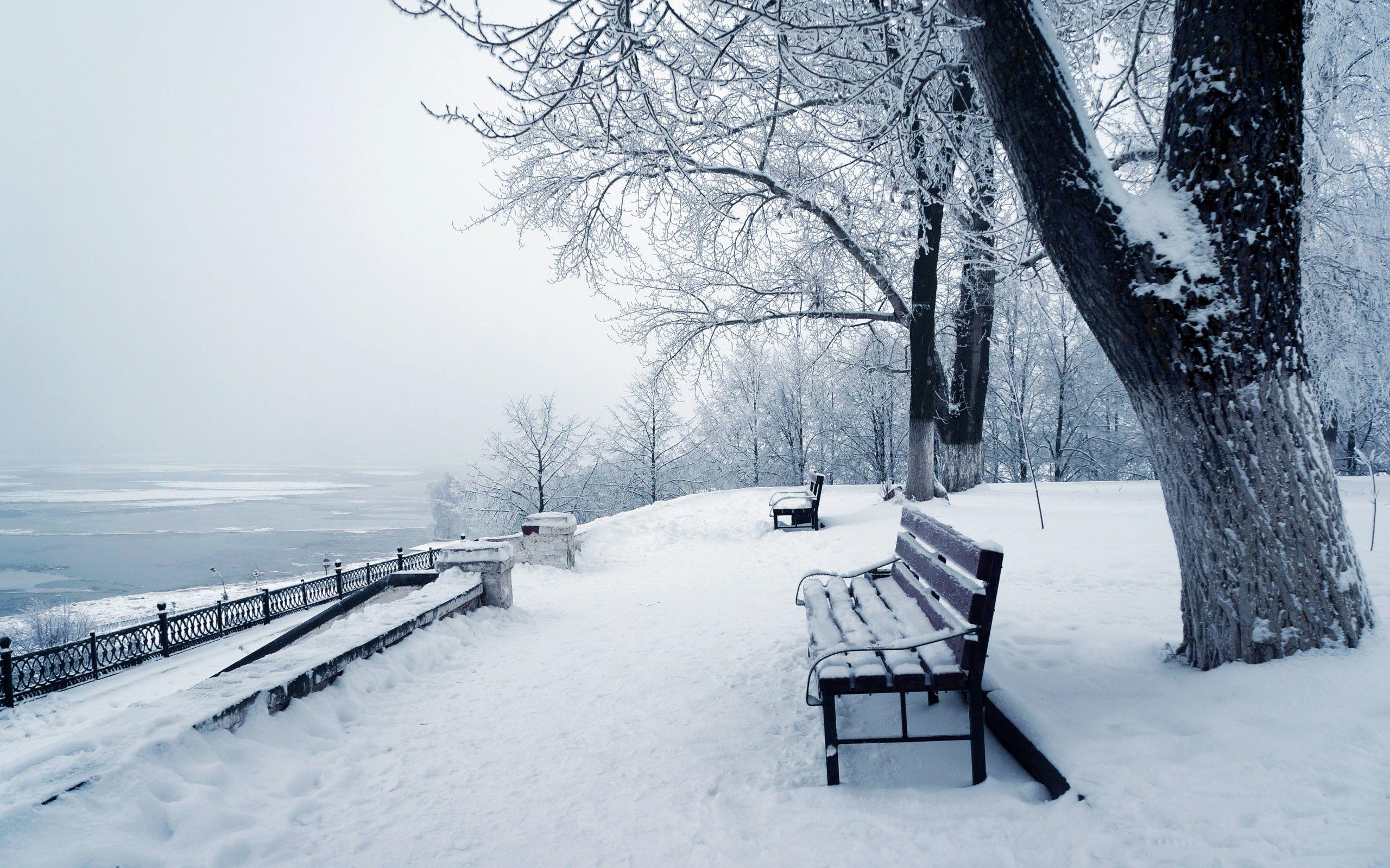 Winter Wallpaper HD Gallery (83 Plus)