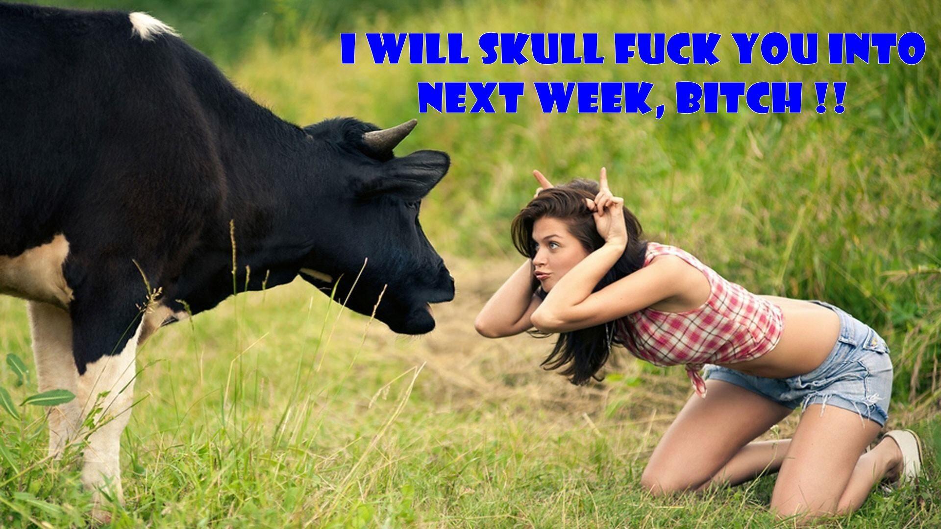 Funny Jokes Picture Wallpaper. Download cool HD wallpaper here