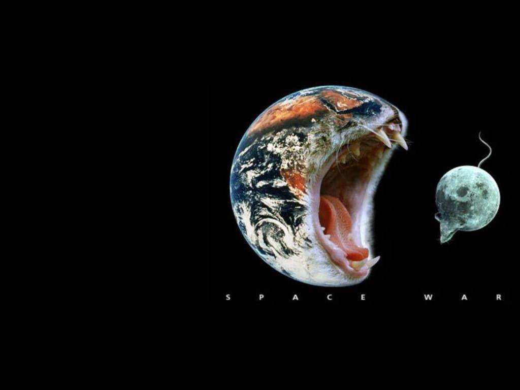 Computer Wallpaper: free funny wallpaper