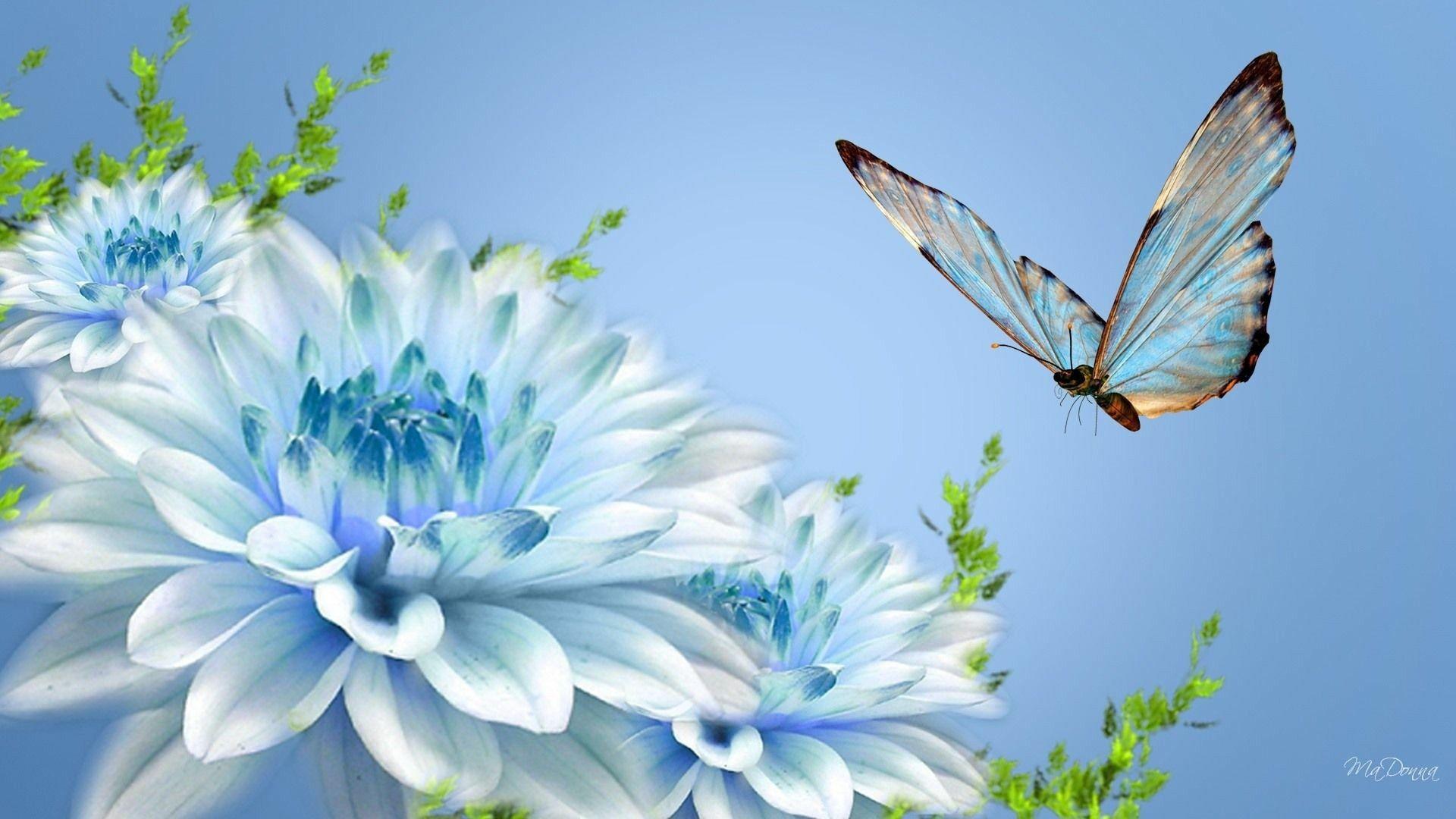 Free HD Best 3D Butterfly Wallpaper Desktop Download