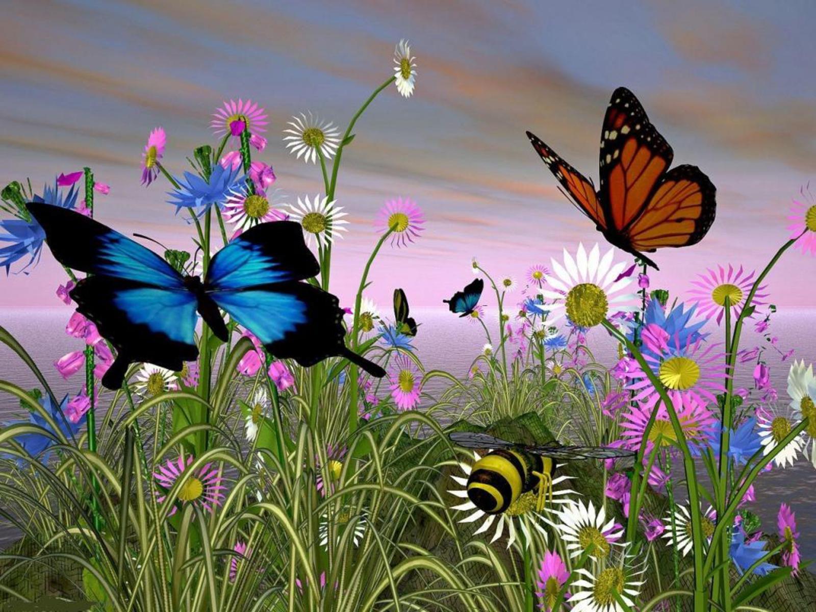 Butterflies HD wallpaper free downloads 3D