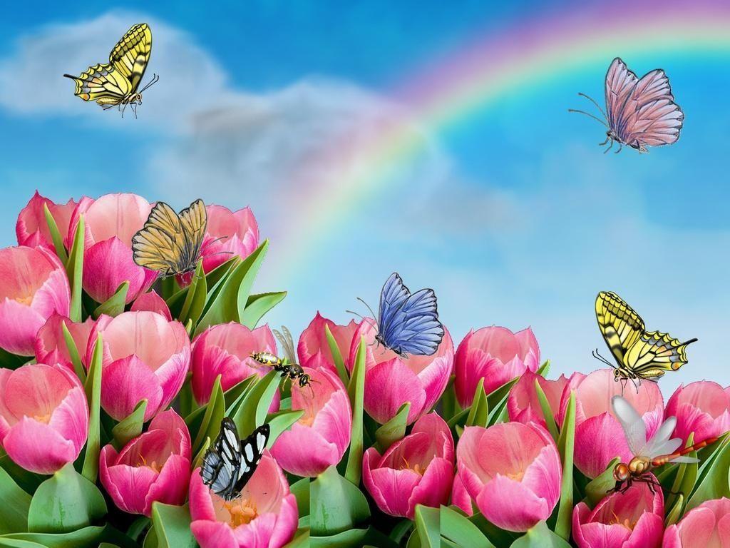 3D Wallpaper butterfly Free Download Inspiring HD Wallpaper Flowers
