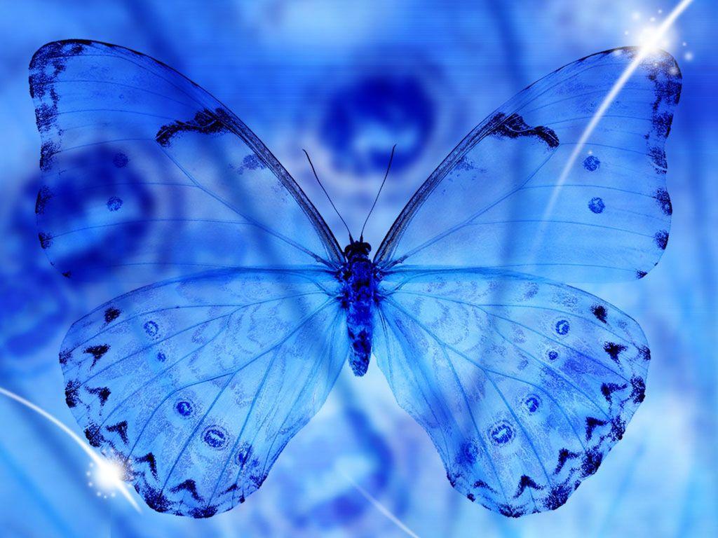 wallpaper: Blue Butterfly Art Wallpaper