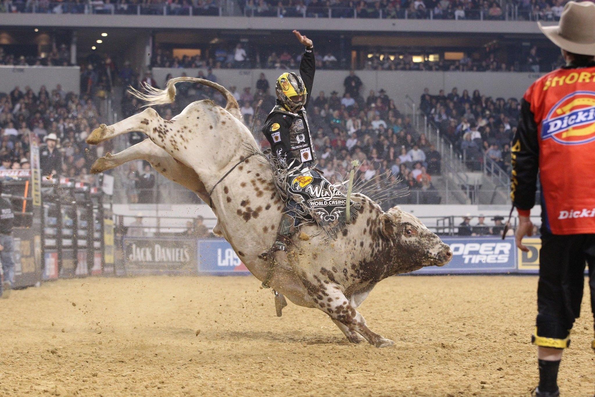 Bull Riding Wallpaper