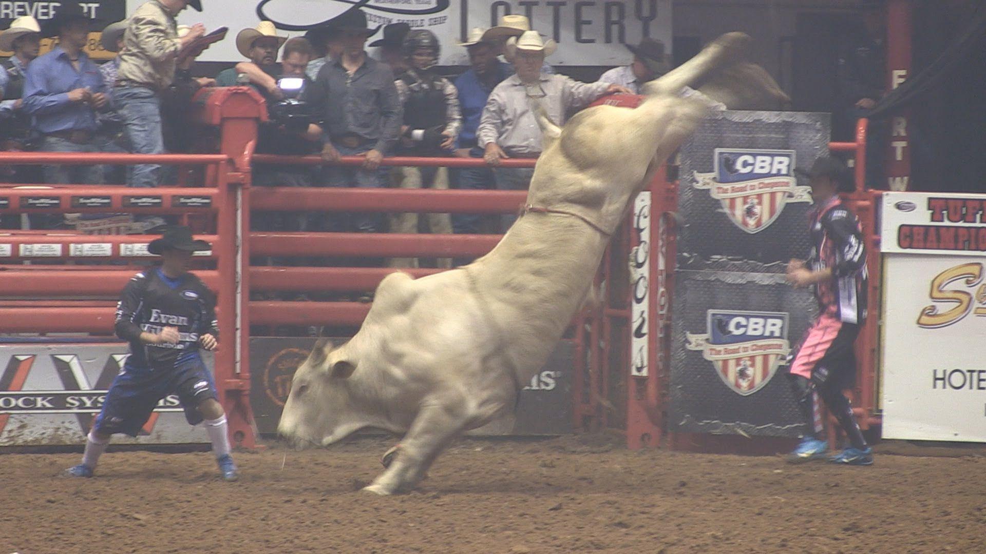 Texas Rodeo Championship Bull Riding