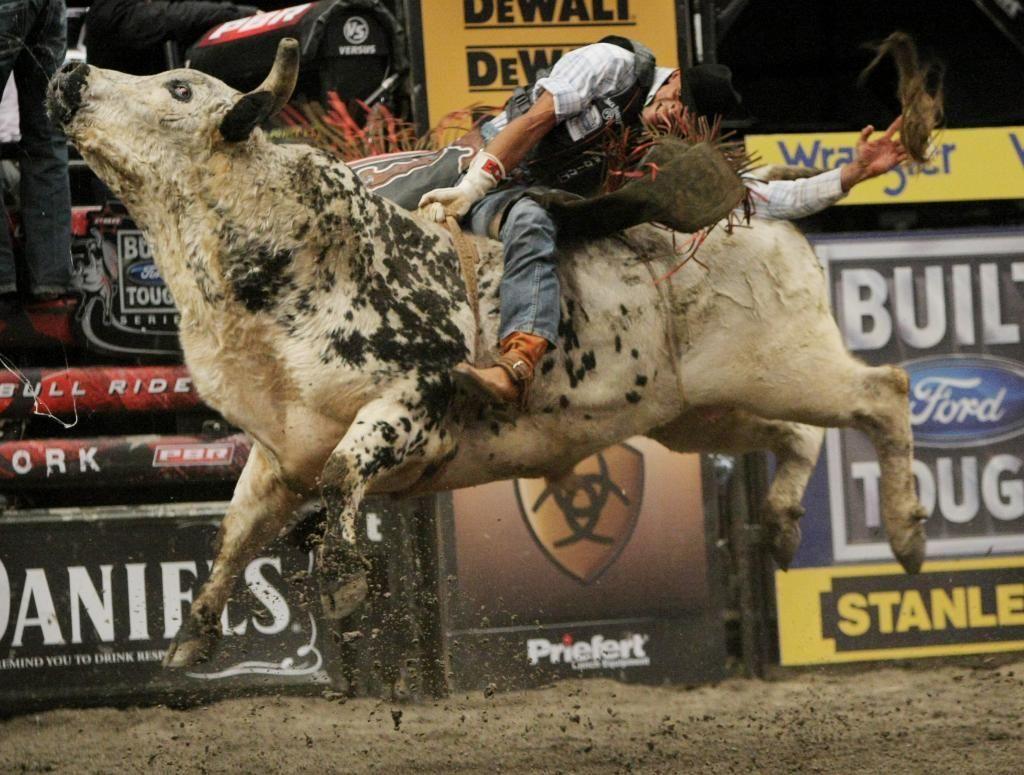 Bull Rider Wallpapers - Wallpaper Cave
