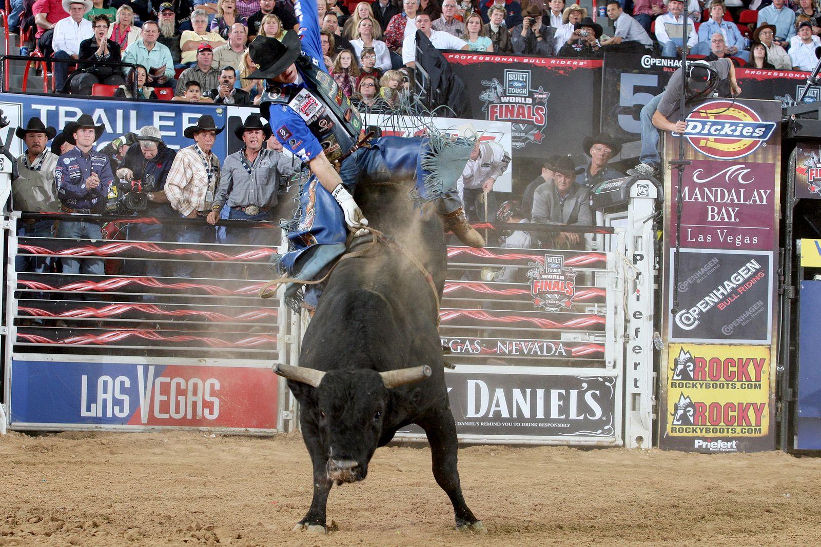 Pro Bull Riding Wallpaper