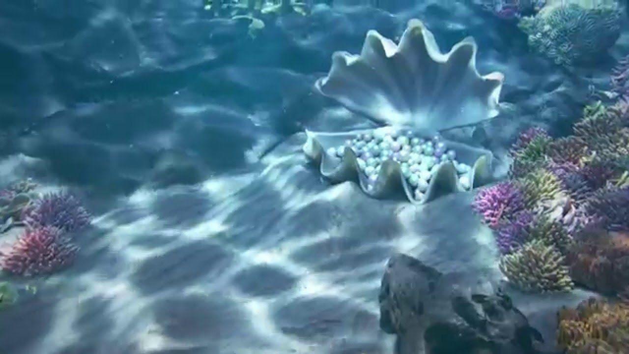 Ocean life video animated wallpaper