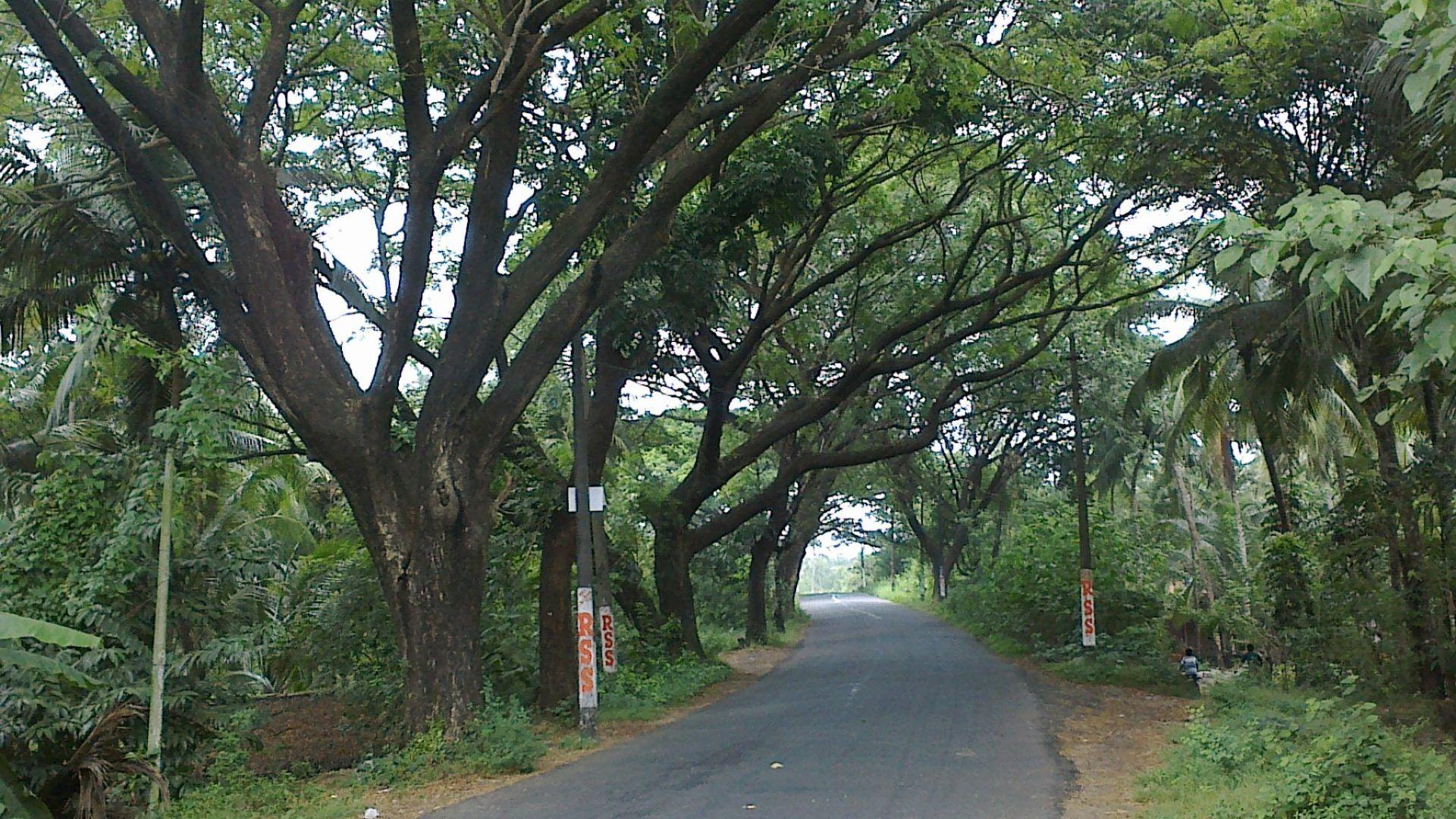 Sleep Tag wallpaper: Road Sleep Beautiful Miles Trees Nature