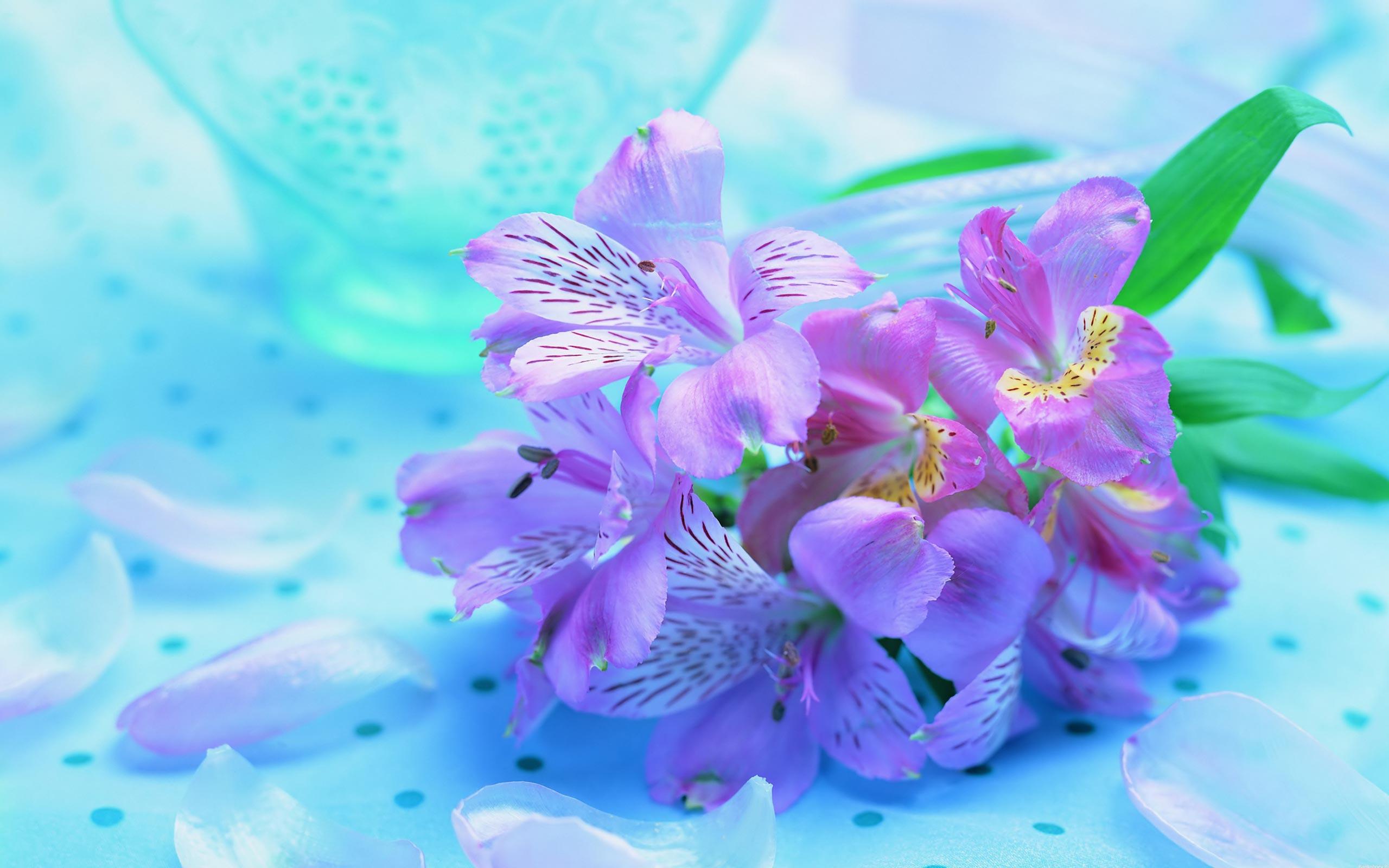 Real Flowers Background
