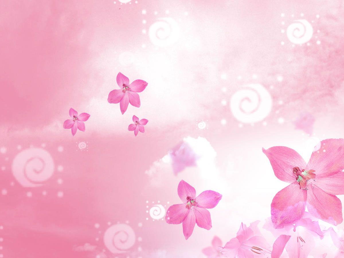 Free Beautiful Flowers Background For PowerPoint PPT