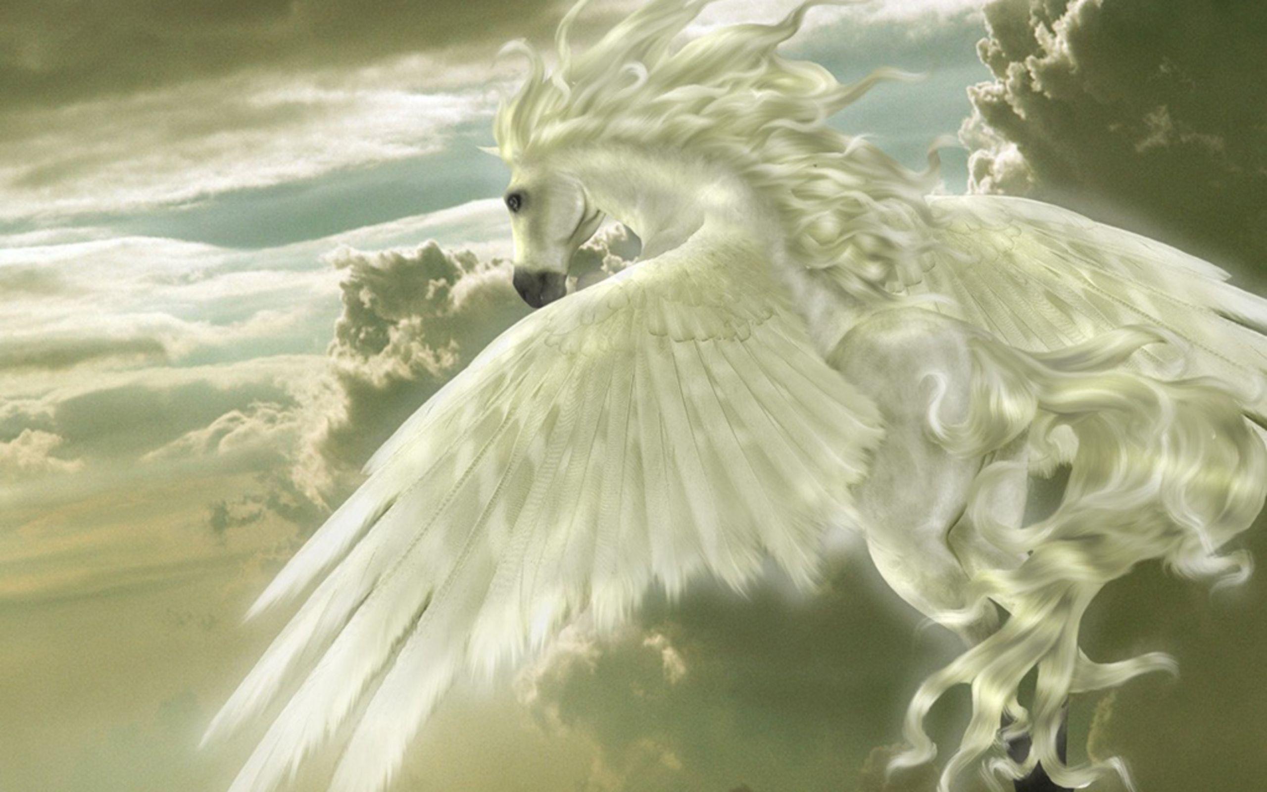 Pegasus HD Wallpaper and Background Image