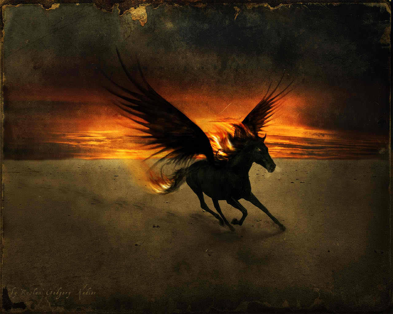 Pegasus image Pegasus HD wallpaper and background photo