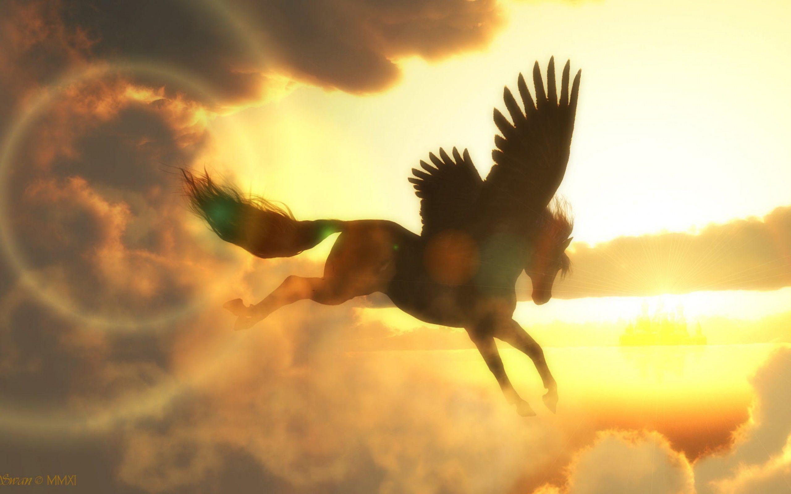 Pegasus HD Wallpaper and Background Image