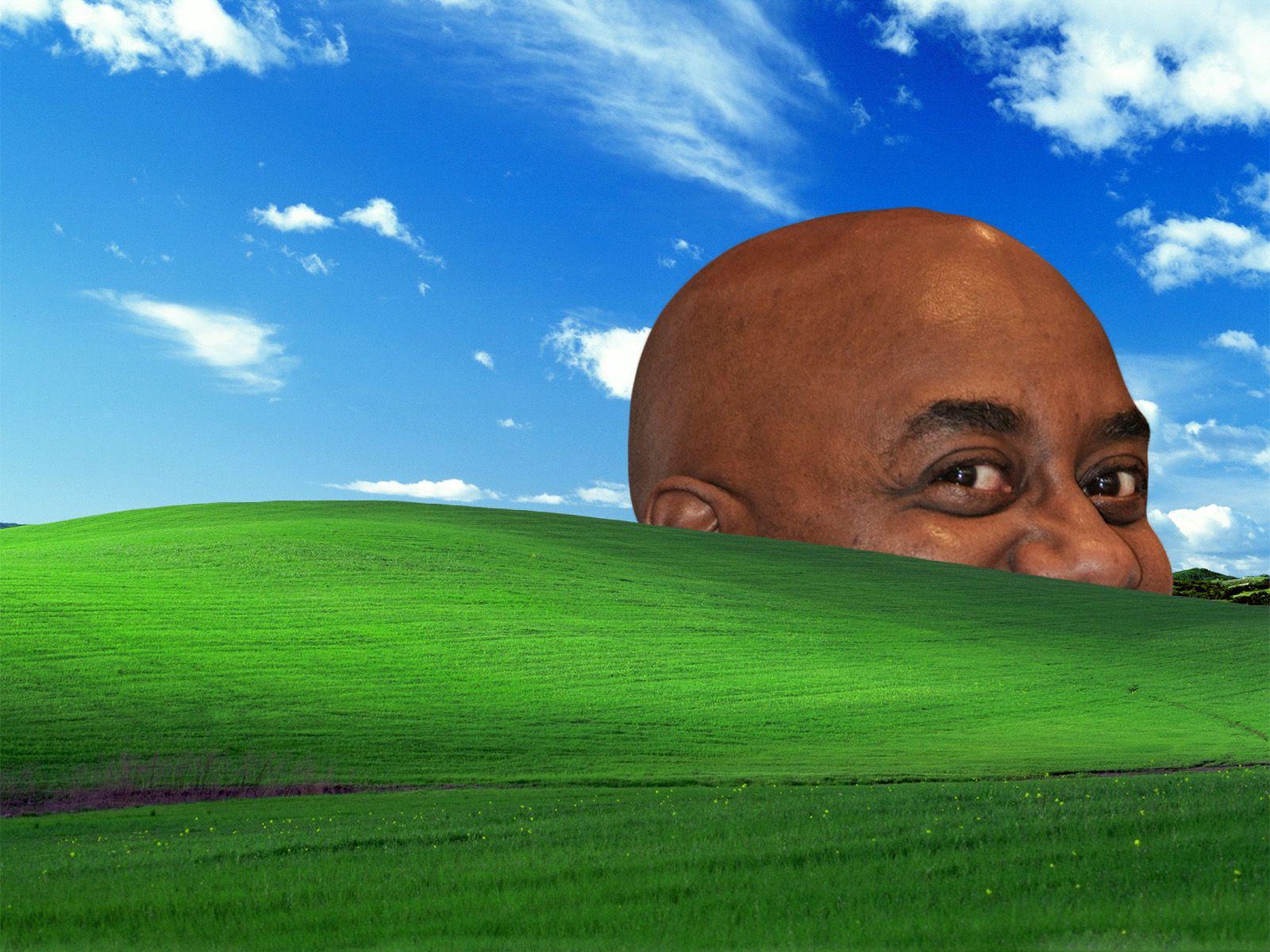 Ainsley Bliss. Windows XP Bliss Wallpaper