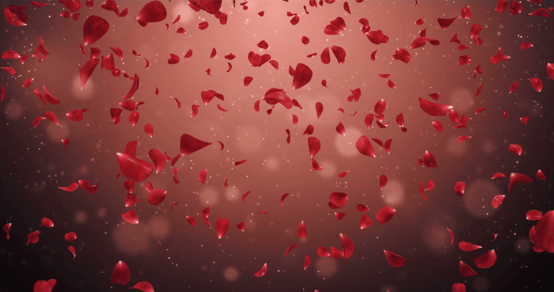 Rose petals steam фото 6