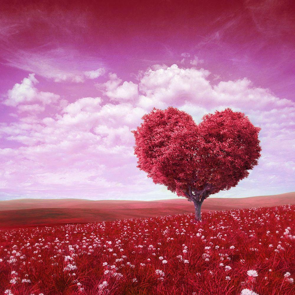 KATE Photography Backdrops 10x10ft Pastel Pink Background Romantic