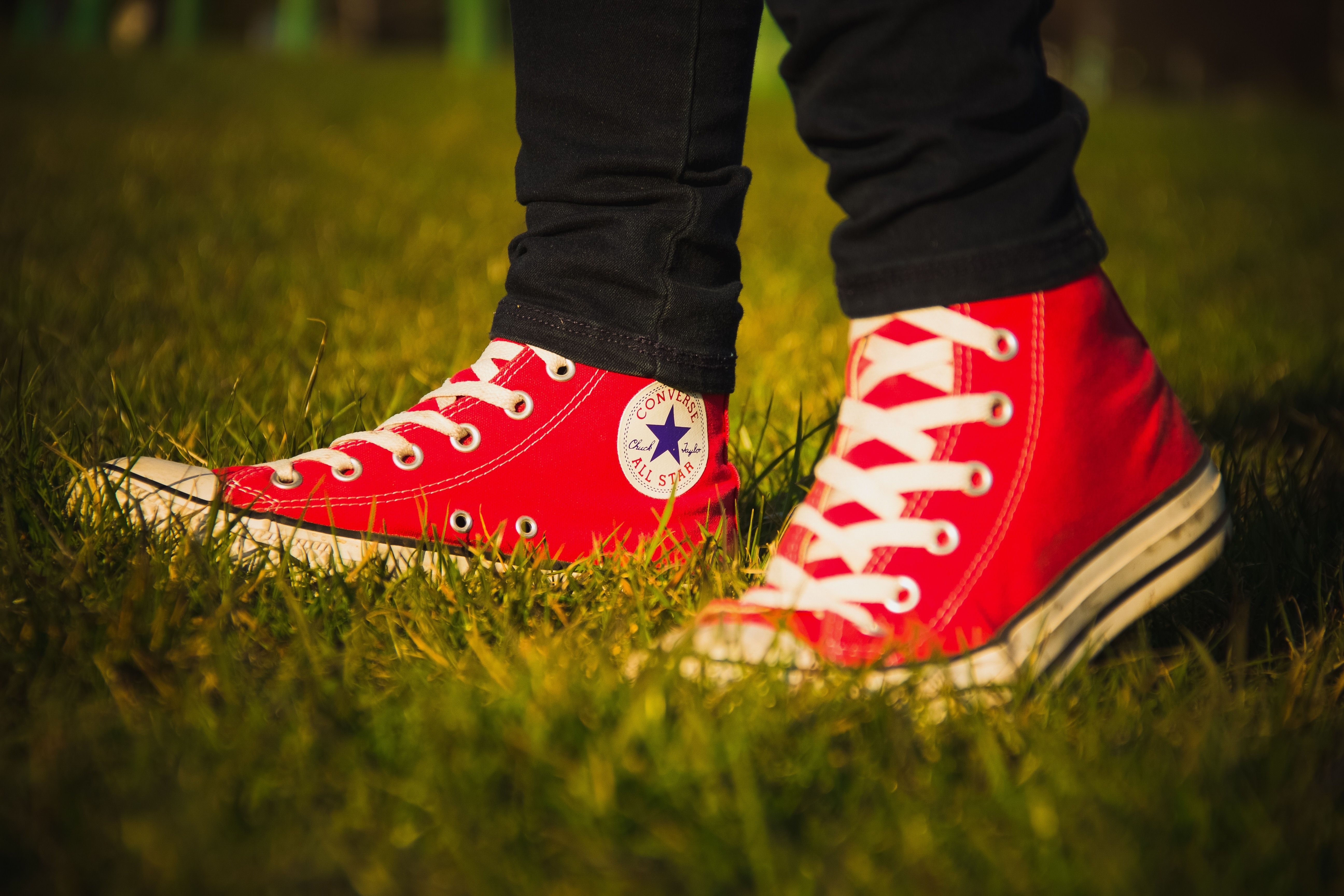 Converse, All Star, Logo, Red, Shoes, grass, red free image