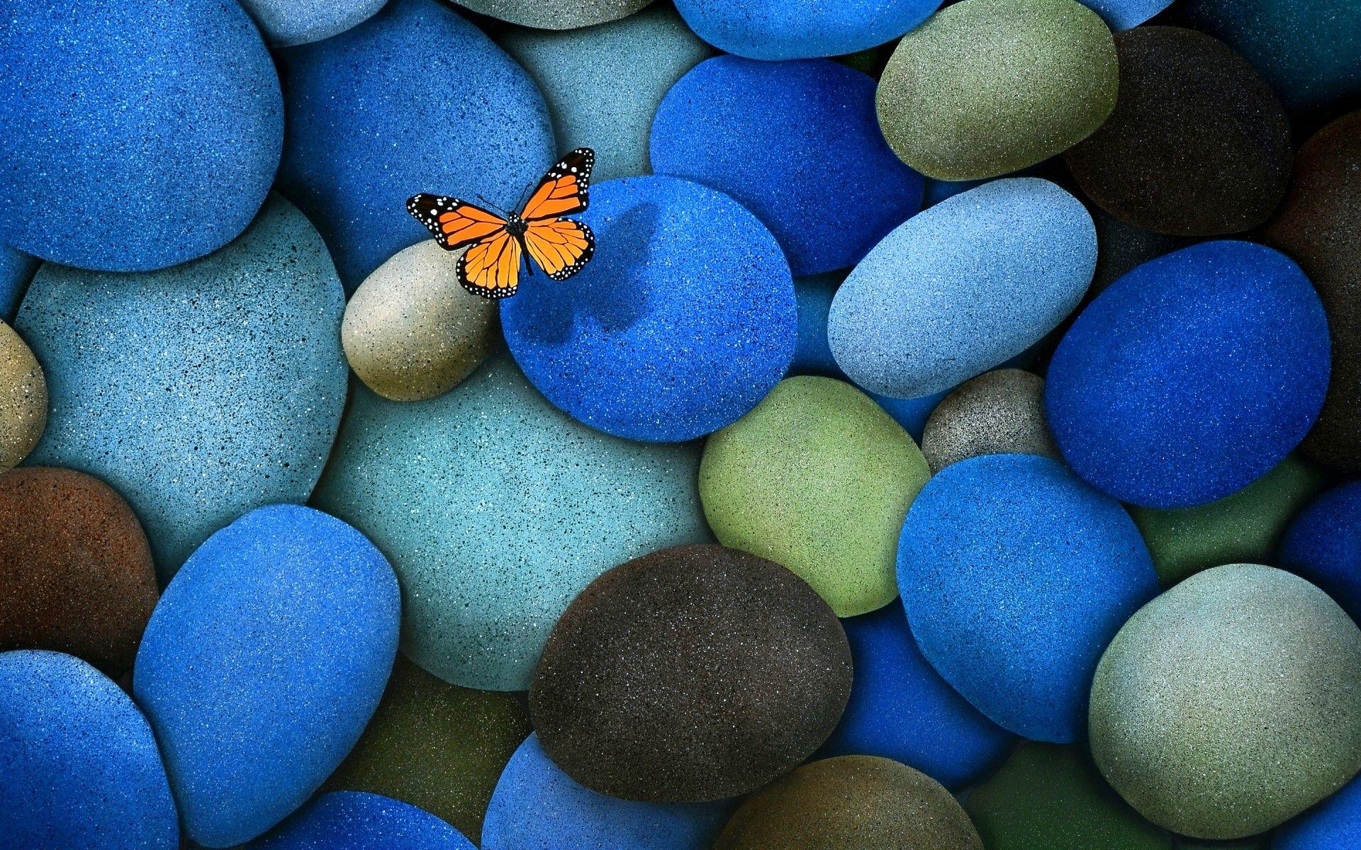 Lonely Butterfly. Android wallpaper for free