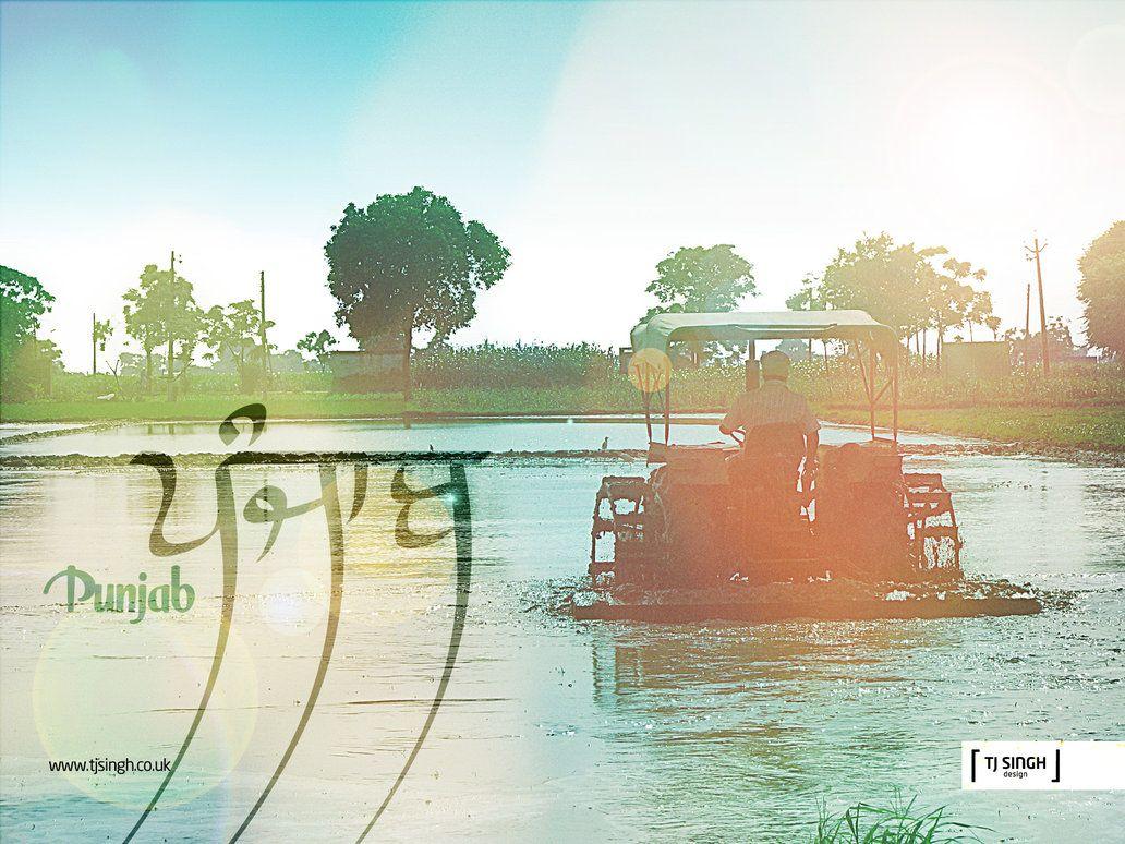 Rangla Punjab 'Viberant India' By Tj Singh