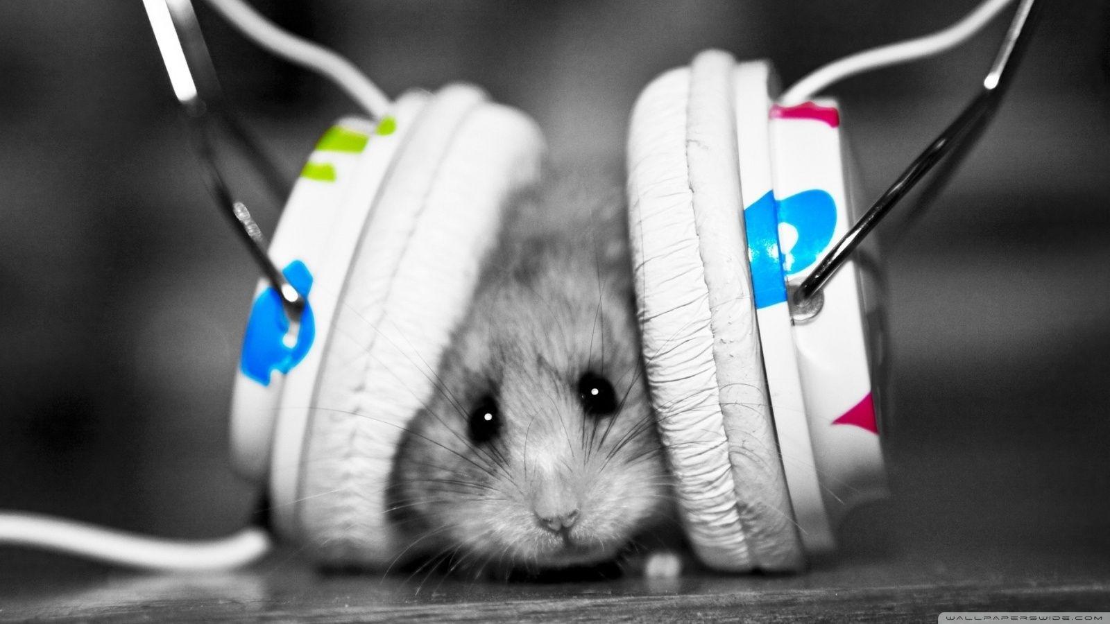 Dj Mouse ❤ 4K HD Desktop Wallpaper for 4K Ultra HD TV • Tablet