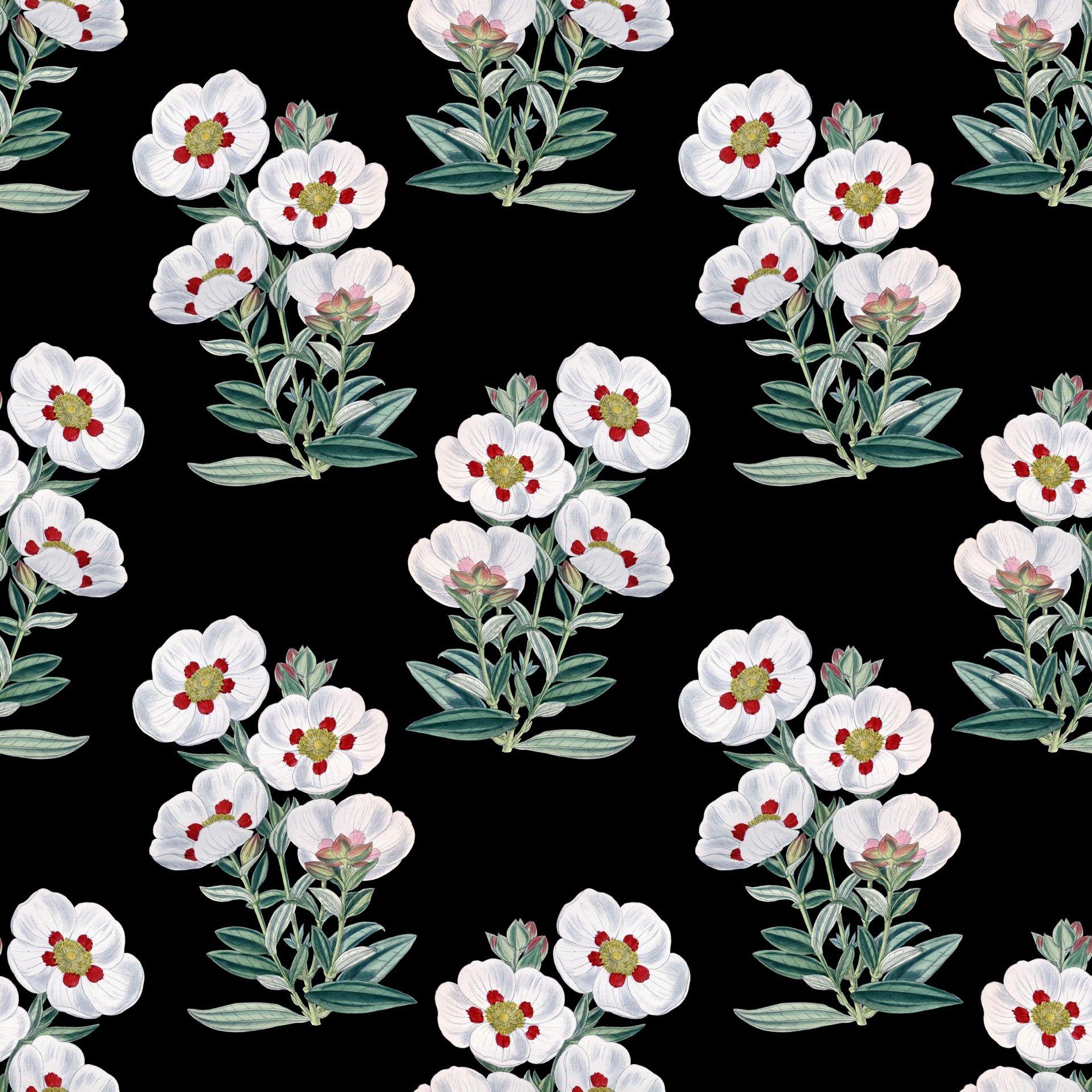 Floral Vintage Wallpaper Pattern Free Domain