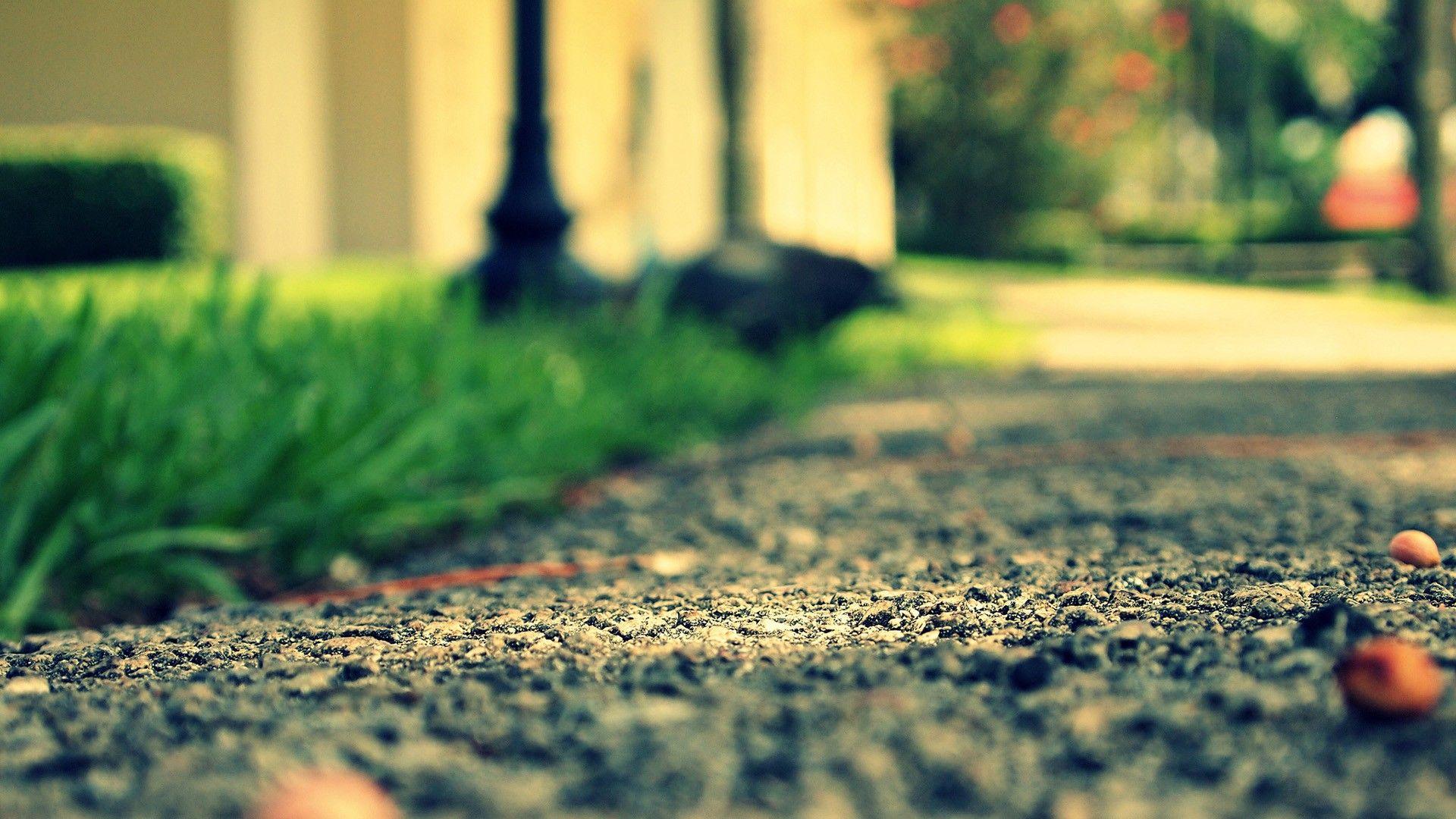 Wallpaper.wiki Free Depth Of Field Wallpaper PIC WPD009987