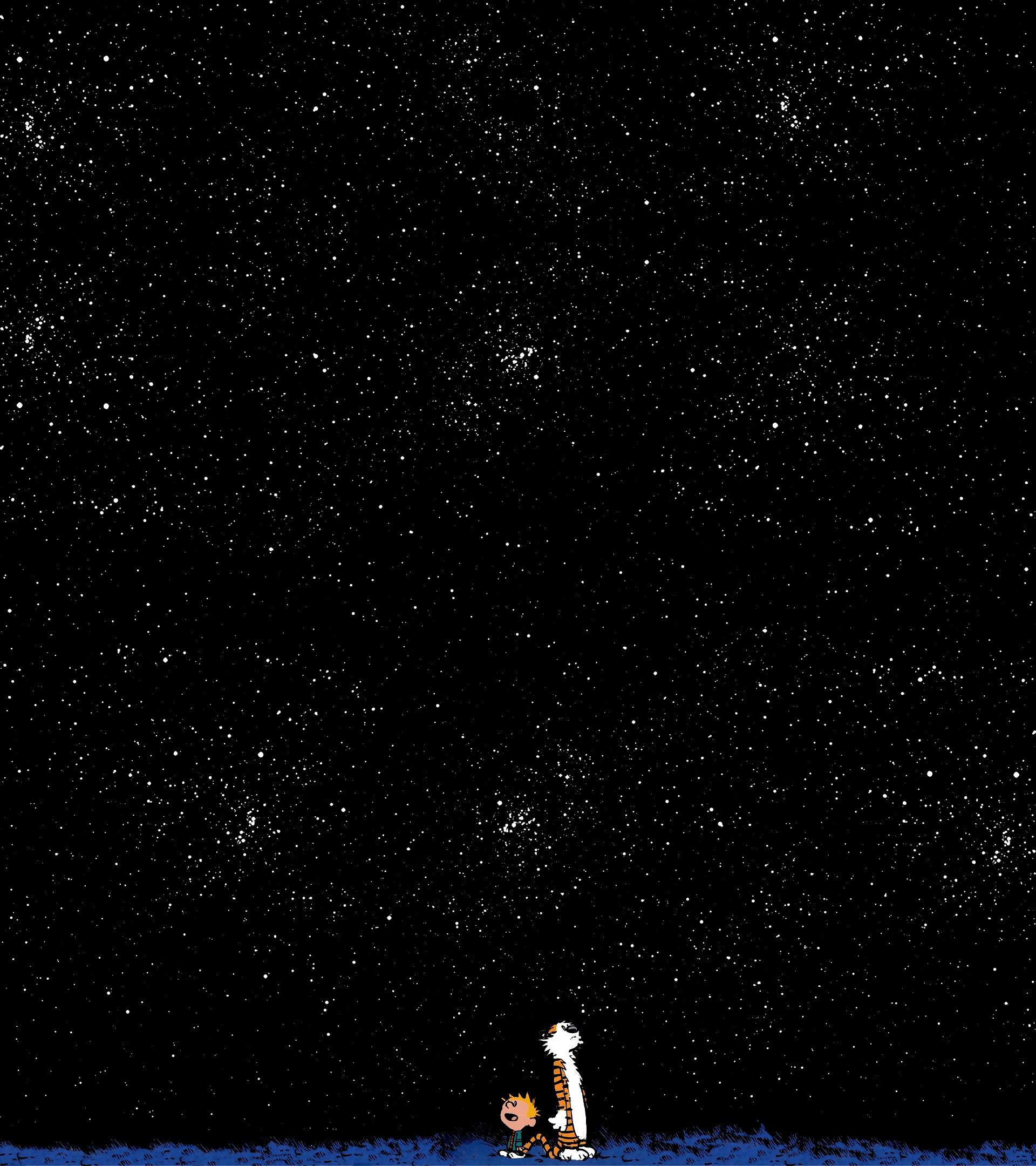 Calvin & Hobbes Wallpaper For Stacked Portrait Monitors 1920 X 2160