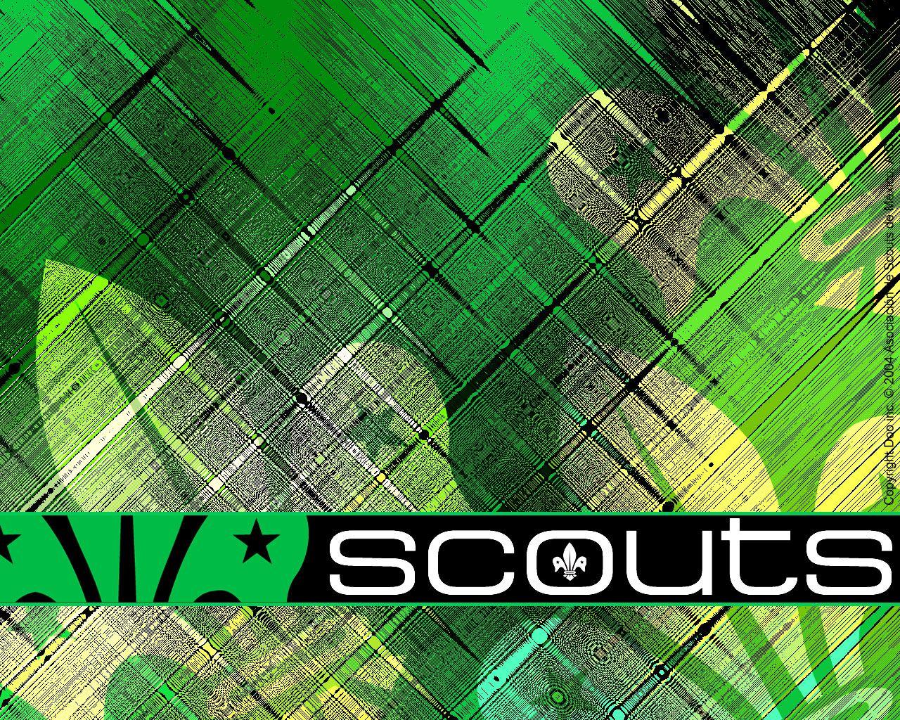 Scout Wallpaper