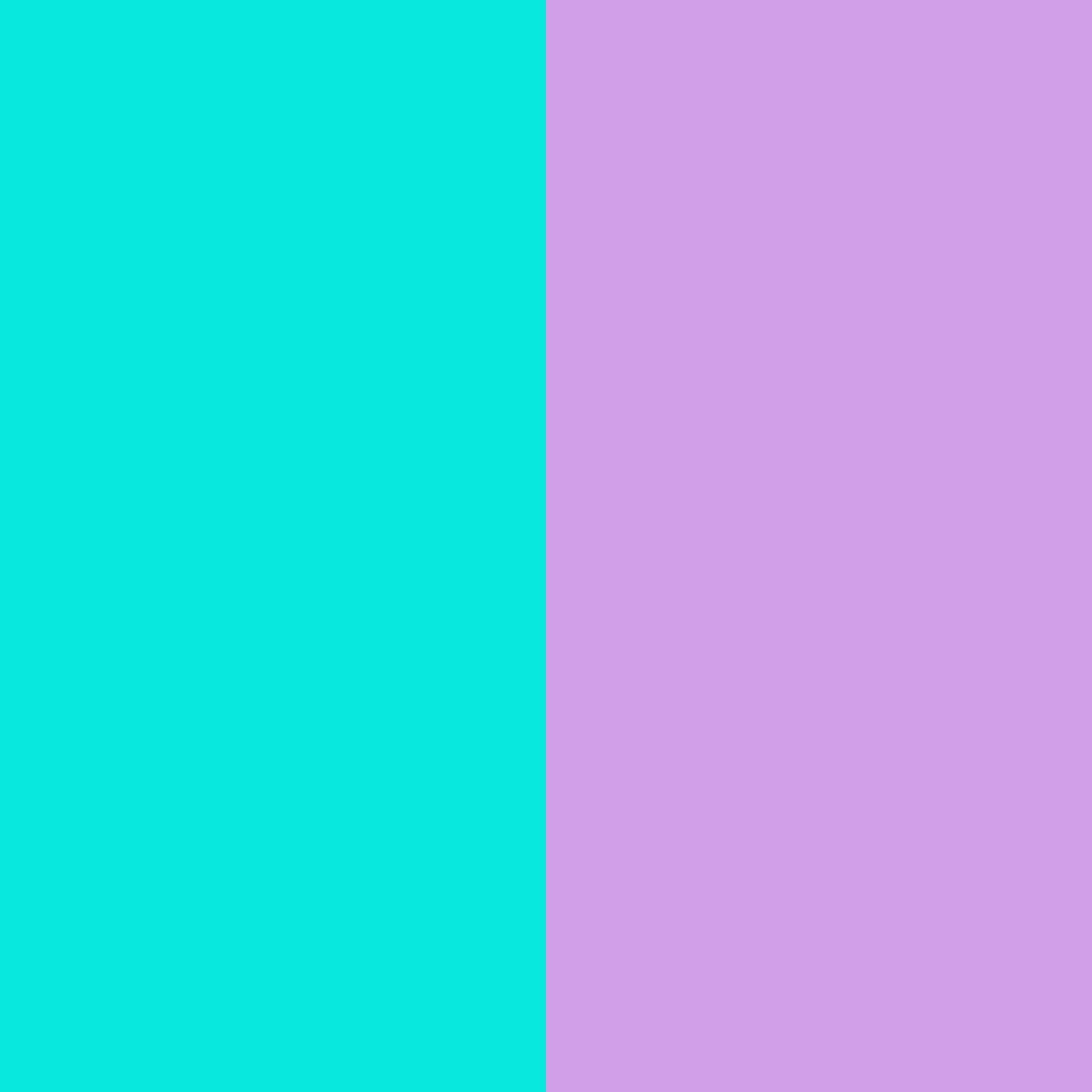 2048x2048 Bright Turquoise Bright Ube Two Color