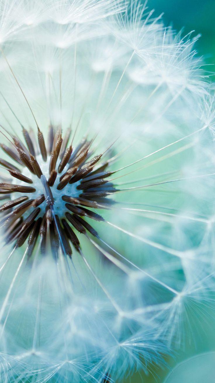 Photo Collection: Samsung Galaxy HD, 08 08 2017