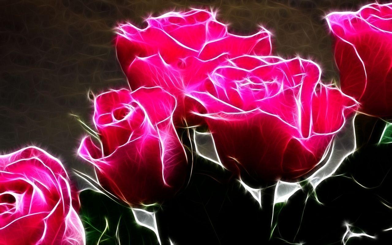 Beautiful Pink Roses Wallpaper