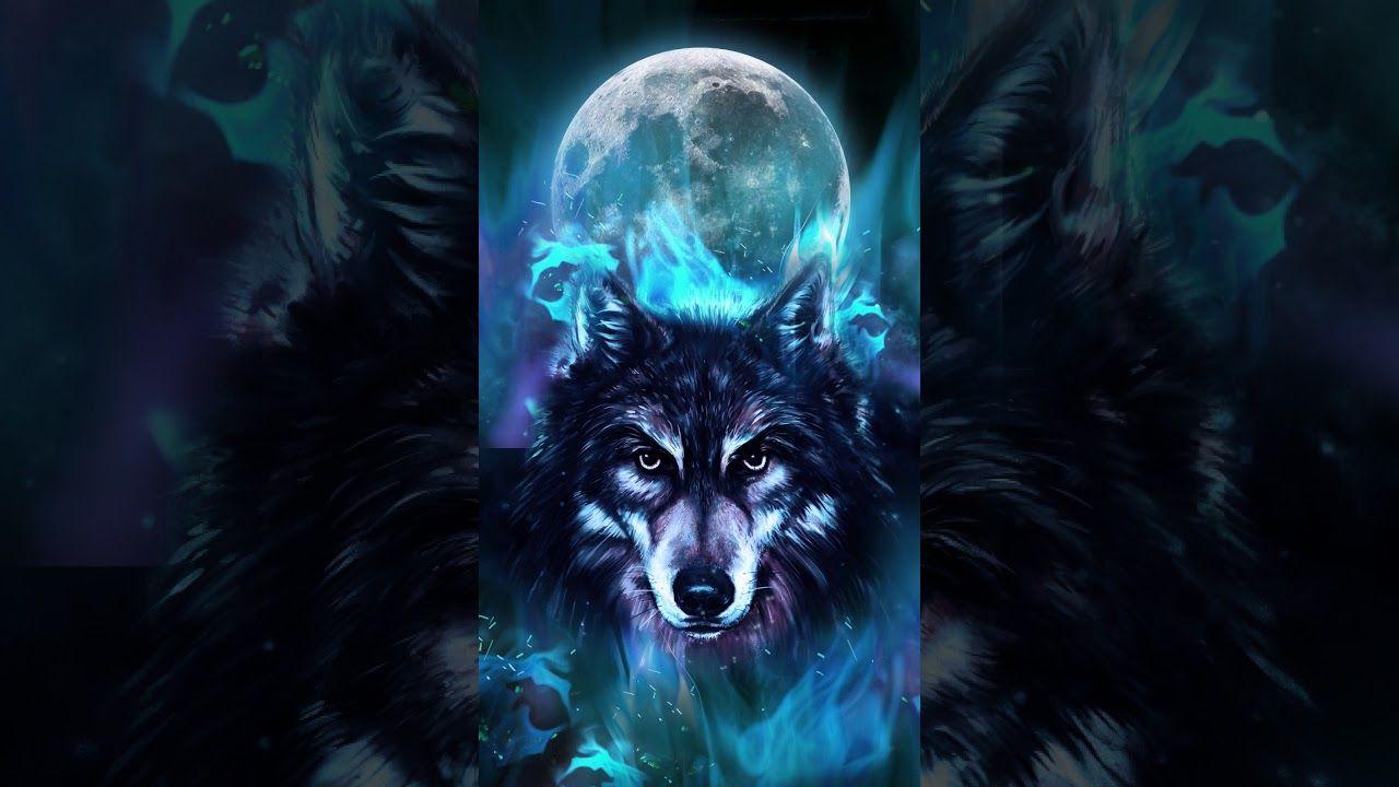 Samsung Theme Video Wallpaper Video Blue Neon Wolf