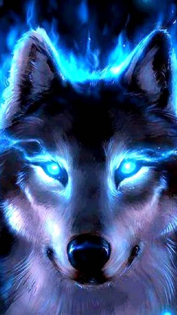 Neon blue wolf Wallpaper
