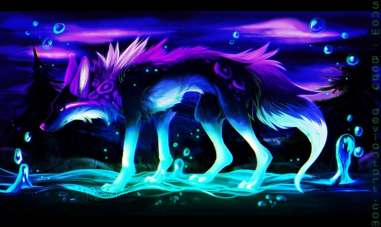 Midnight Blue Wolf Ice Cool Backgrounds