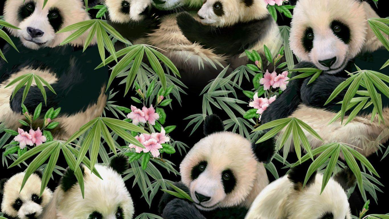 Bear Snowman Toy Penguin Pig Doll Picture Black Cubs Bear HD 16:9