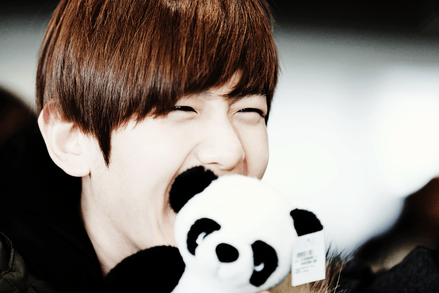 Dont miss Baekhyun With Cute Panda Doll HD Wallpaper HD Wallpaper