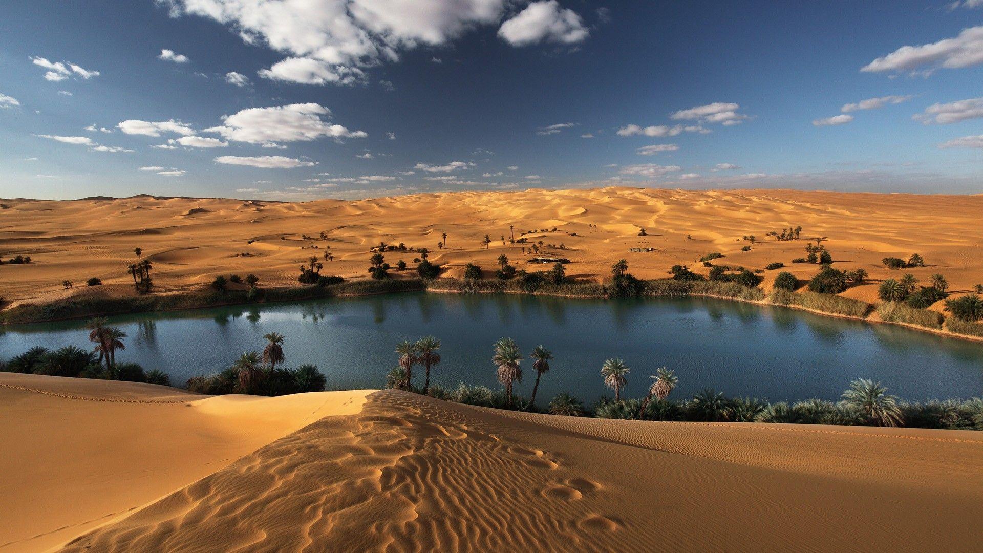 Oasis In The Desert HD Wallpaperx1080