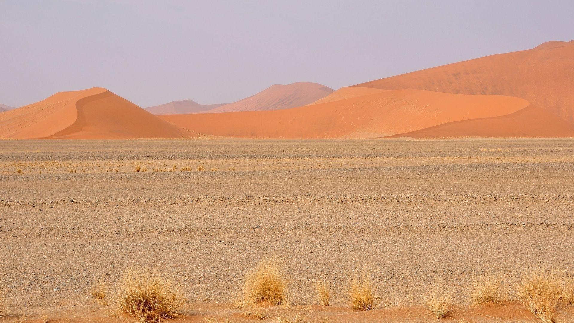 Field Hills Grass Namib Desert desktop PC and Mac wallpaper