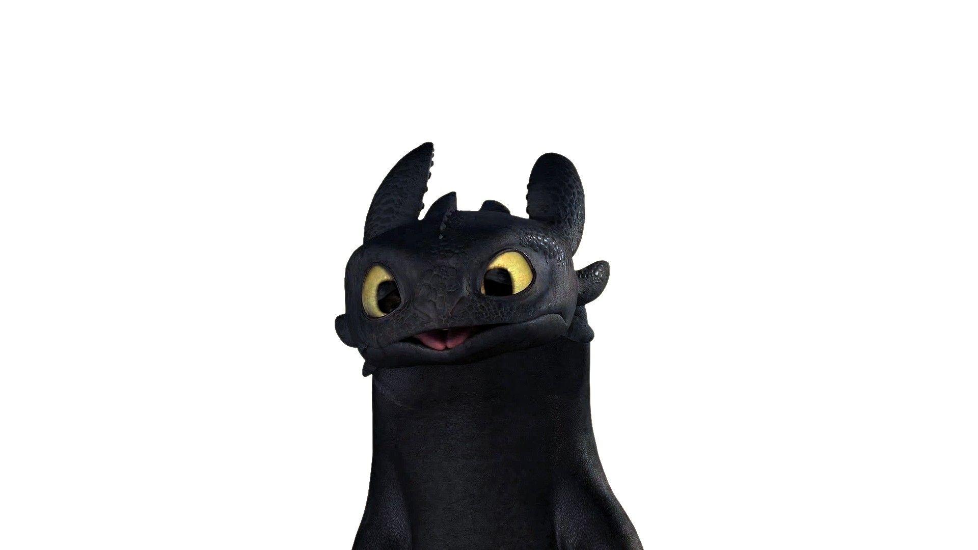 Toothless, Night Fury, How To Train Your Dragon, How To Train Your